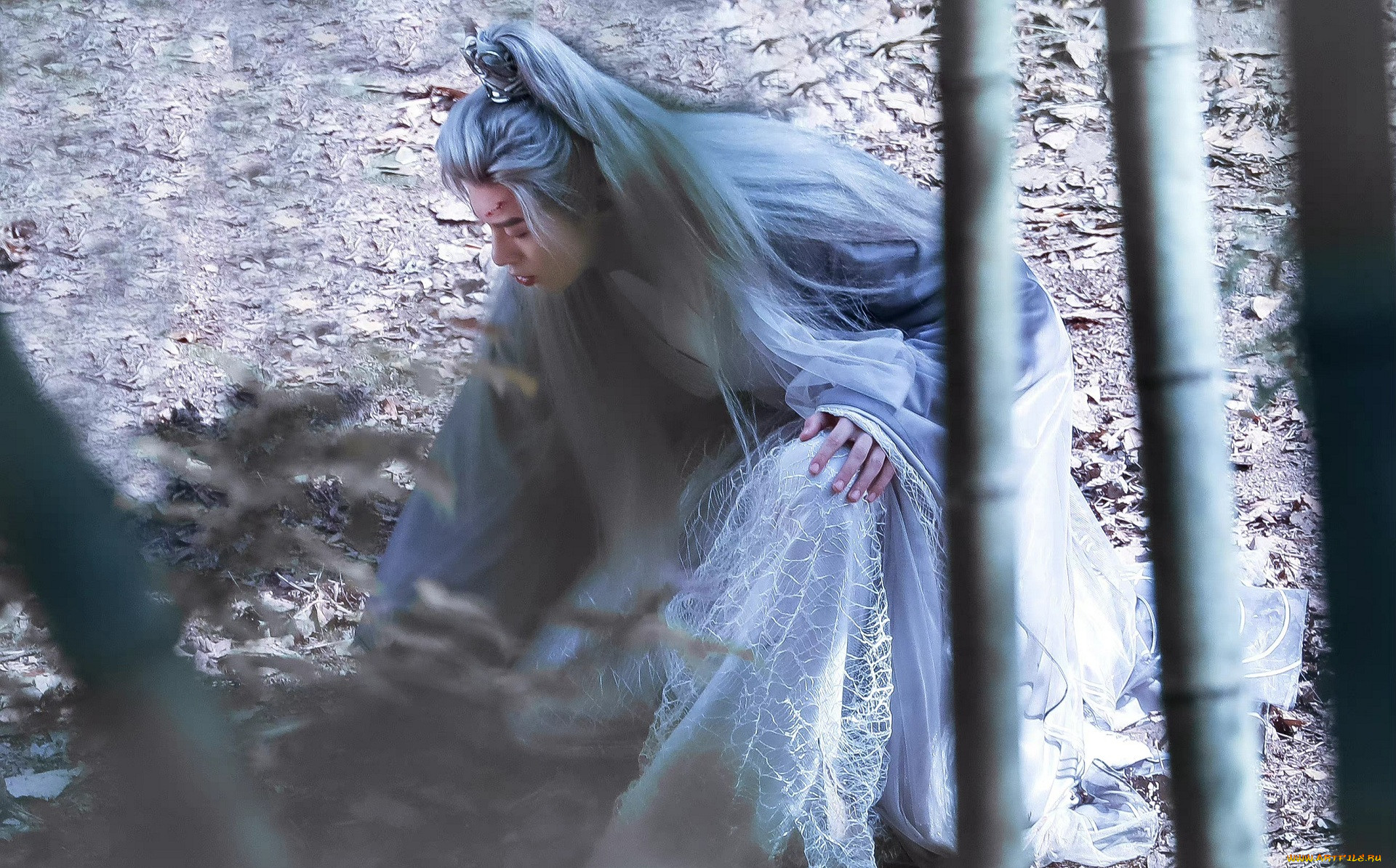 miss the dragon | yu long,  , miss the dragon, , 